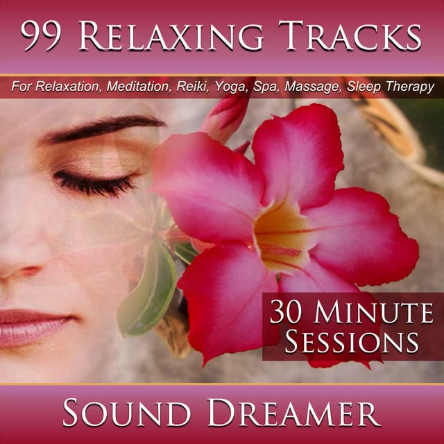 99 Relaxing Tracks - Sound Dreamer