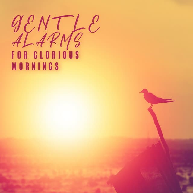 Gentle Alarms for Glorious Mornings - Daves Gordson