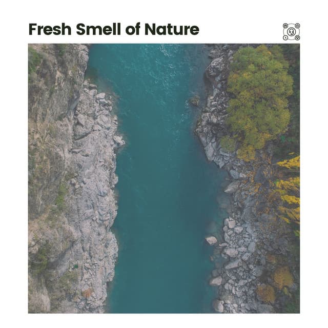 Fresh Smell of Nature - Organic Nature Sounds