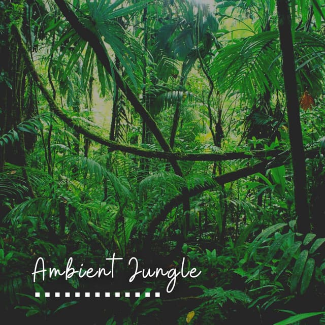 Ambient Jungle - Inspiring Tranquil Sounds