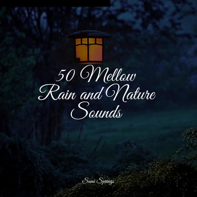 50 Mellow Rain and Nature Sounds - Study Music & Sounds