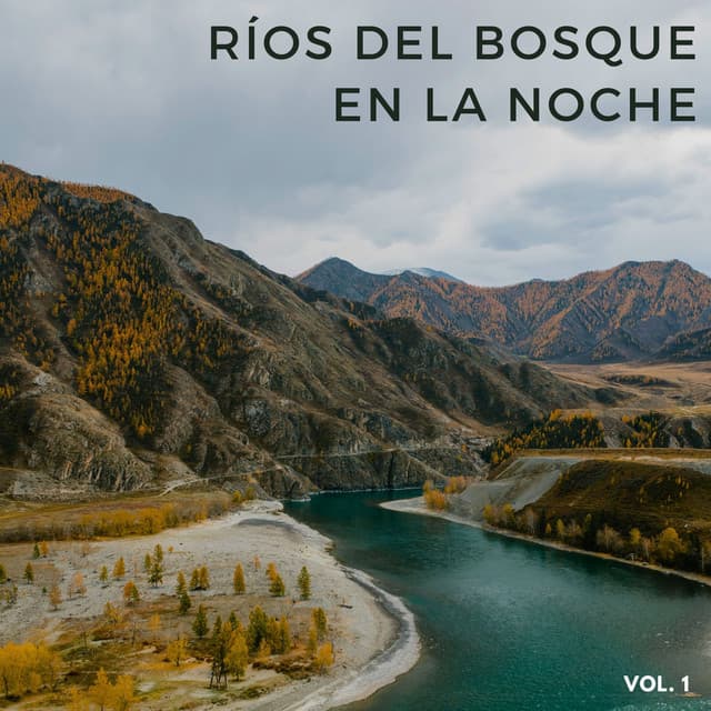Ríos Del Bosque En La Noche Vol. 1 - La Naturaleza Del Sueño