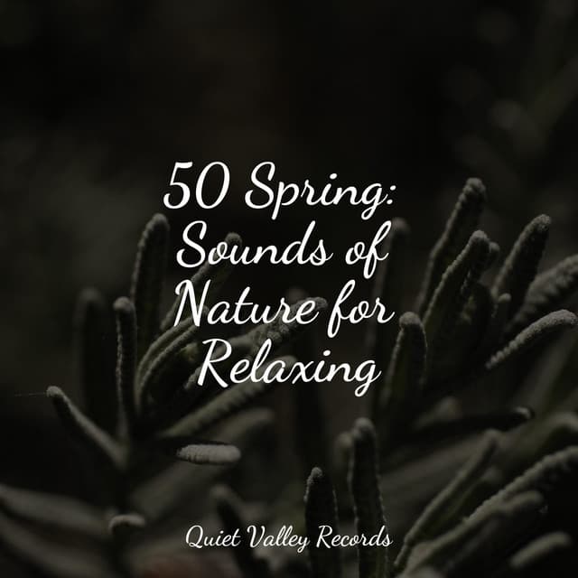 50 Spring: Sounds of Nature for Relaxing - Namaste Yoga