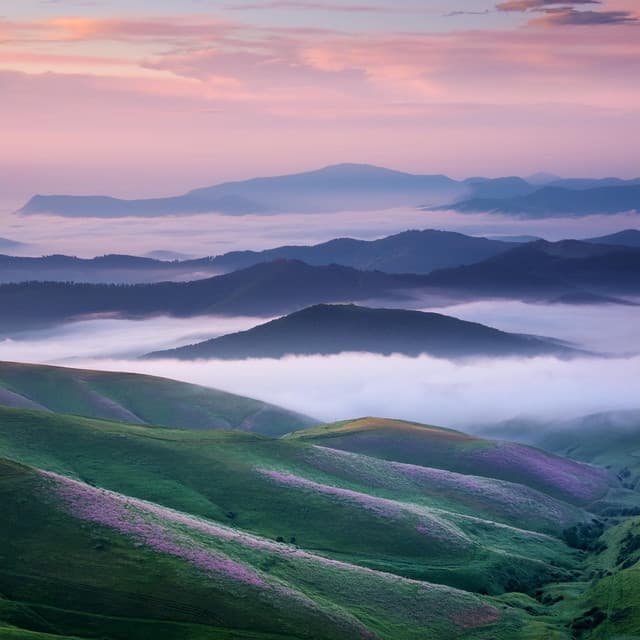 Relajación Reconfortante: Melodías Para La Calma - Música para momentos de tranquilidad