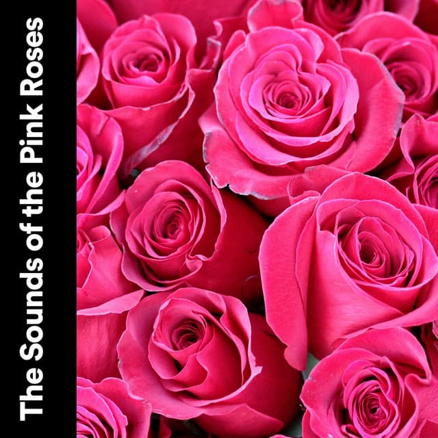The Sounds of the Pink Roses - Pink Noise