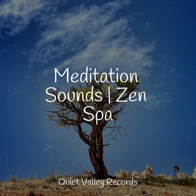Meditation Sounds | Zen Spa - Nursery Rhymes