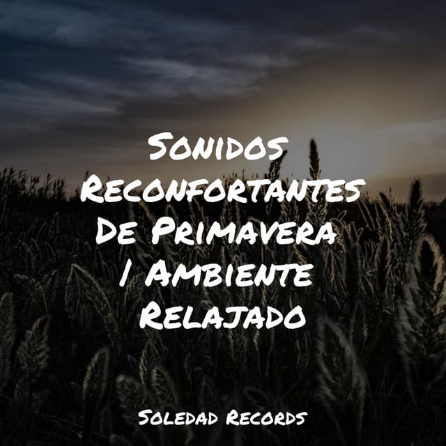 Sonidos Reconfortantes De Primavera | Ambiente Relajado - Musica Relajante Piano Master