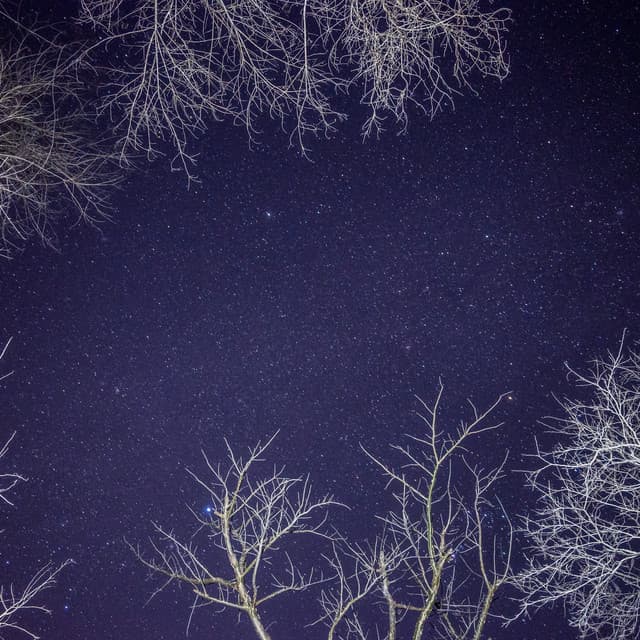 50 White Noise Sounds For Sleeping: Restful Breeze - White Noise