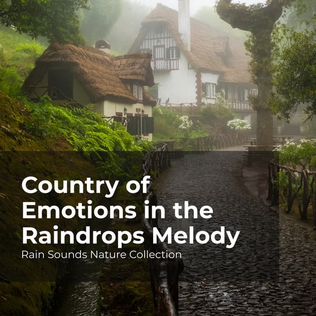 Country of Emotions in the Raindrops Melody - Rain Sounds Nature Collection