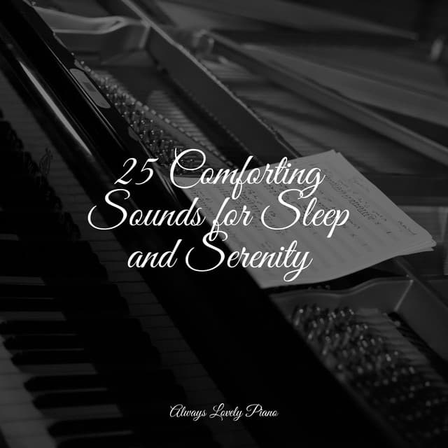 25 Comforting Sounds for Sleep and Serenity - Piano Bar Music Specialists