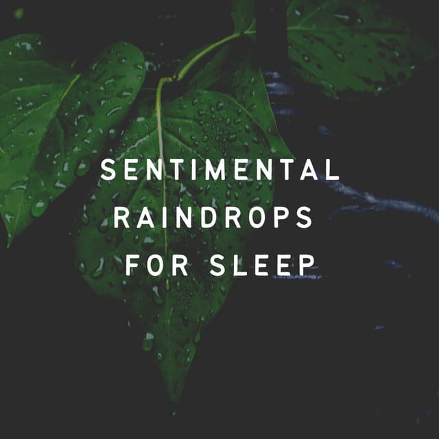 Sentimental Raindrops for Sleep - 24H Rain Sounds