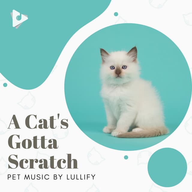 A Cat's Gotta Scratch - Pet Music by Lullify