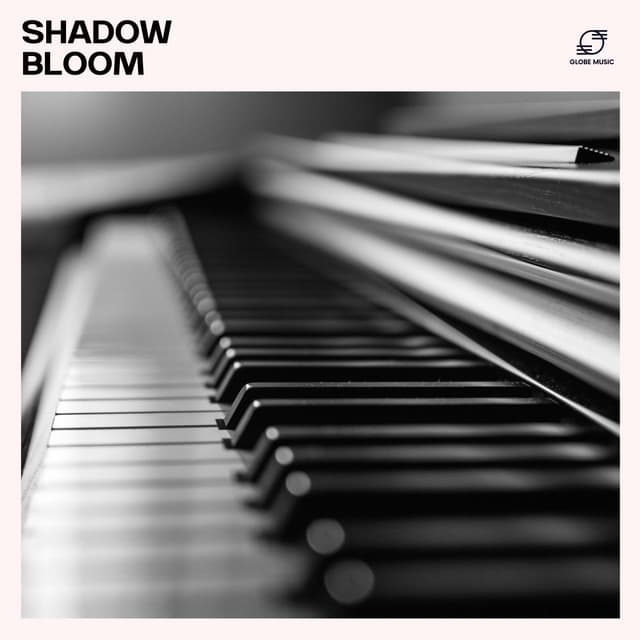 Shadow Bloom - Relaxing Piano