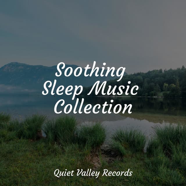 Soothing Sleep Music Collection - Weather Sounds