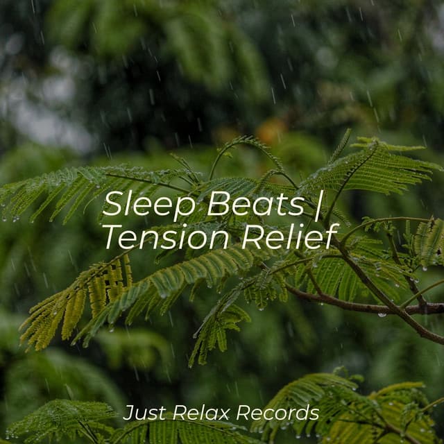 Sleep Beats | Tension Relief - Meditation Awareness