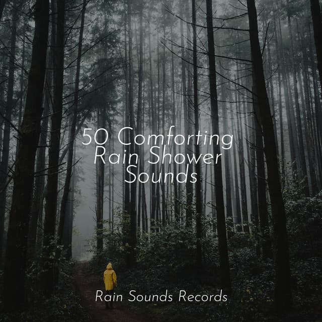 50 Comforting Rain Shower Sounds - Relajacion Del Mar