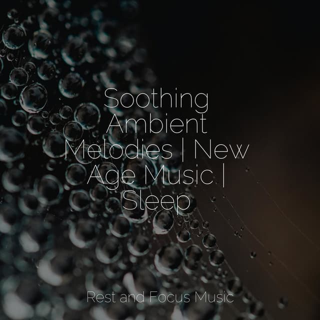 Soothing Ambient Melodies | New Age Music | Sleep - Sleepy Times