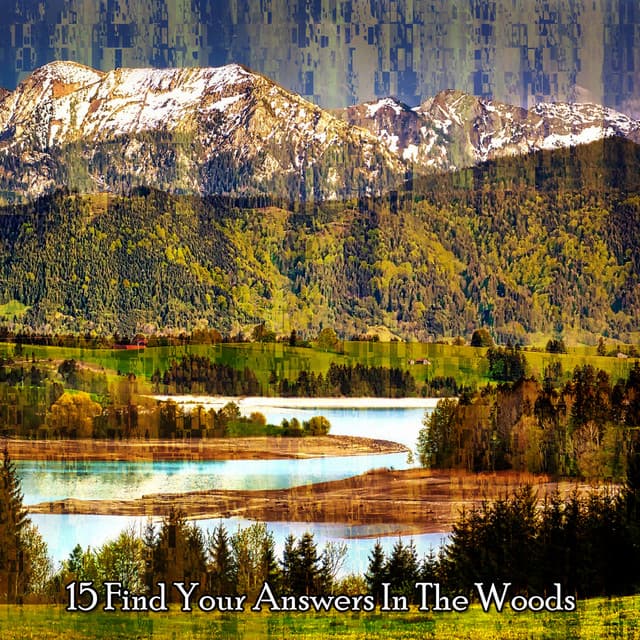 15 Find Your Answers In The Woods - Sound Library XL