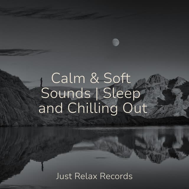 Calm & Soft Sounds | Sleep and Chilling Out - Relaxing Mindfulness Meditation Relaxation Maestro