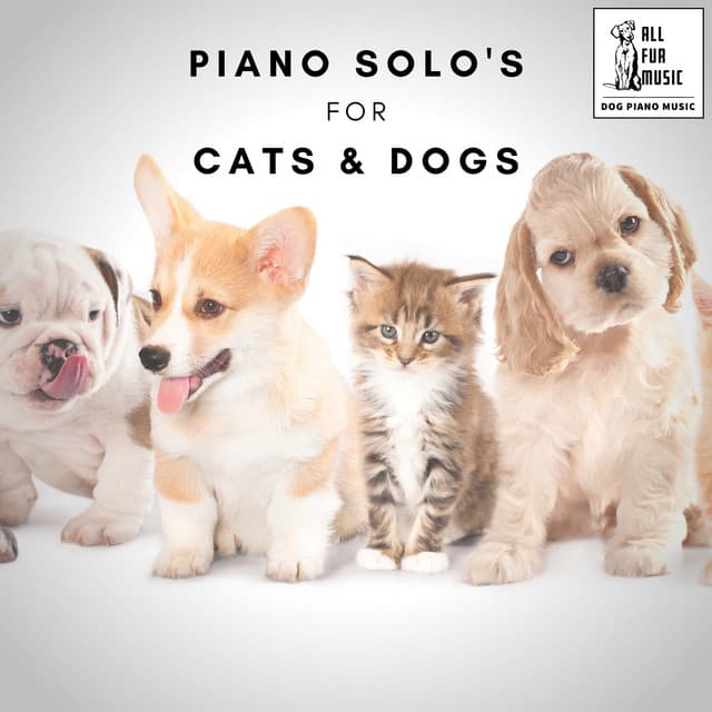 Piano Solo's for Cats & Dogs - Jingle Cats
