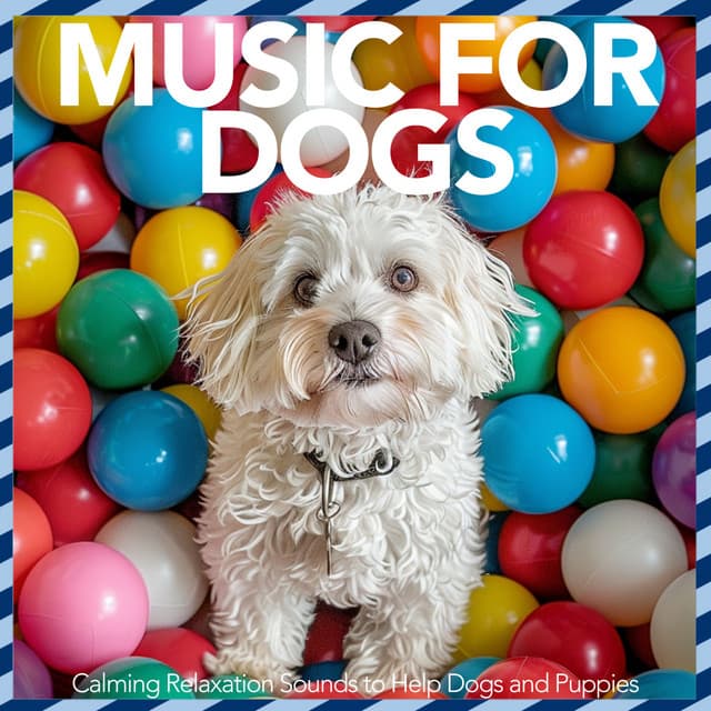 Music For Dogs - Calming Relaxation Sounds to Help Dogs and Puppies - Relaxmydog