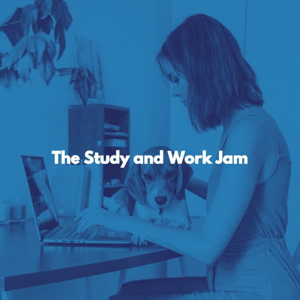The Study and Work Jam - New York City Jazz Club