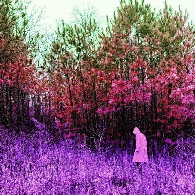 40 Days & 40 Nights - Mickey Woods Jr