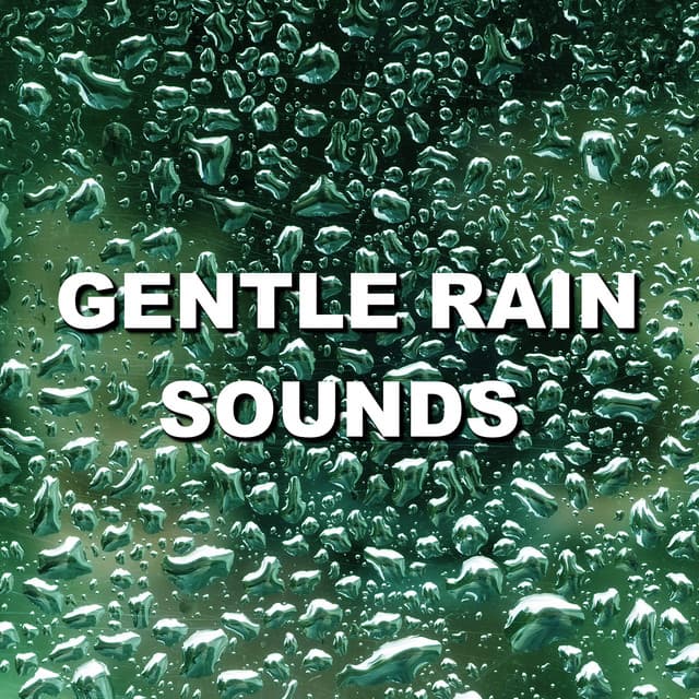 Gentle Rain Sounds - Wind and Rain Sounds