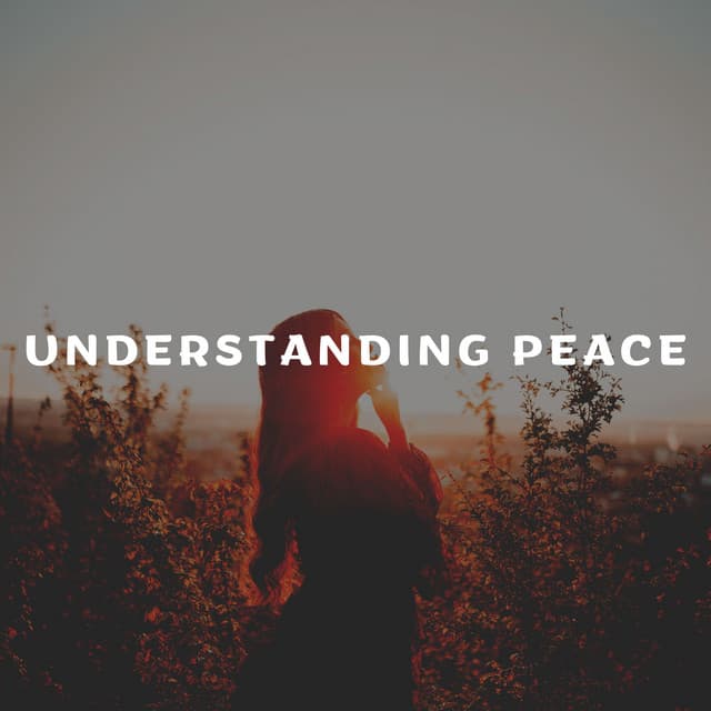Understanding Peace - Soothing Chill Out for Insomnia