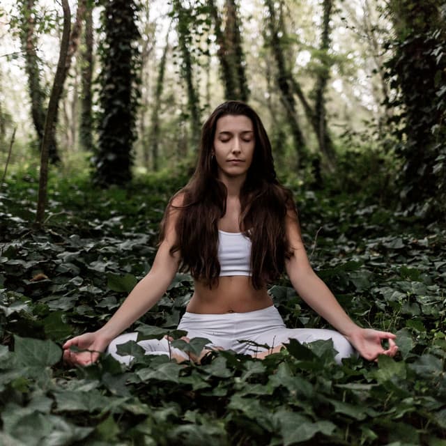 Nature's Meditation with Crickets and Chill Soundscapes - Cricket Sounds