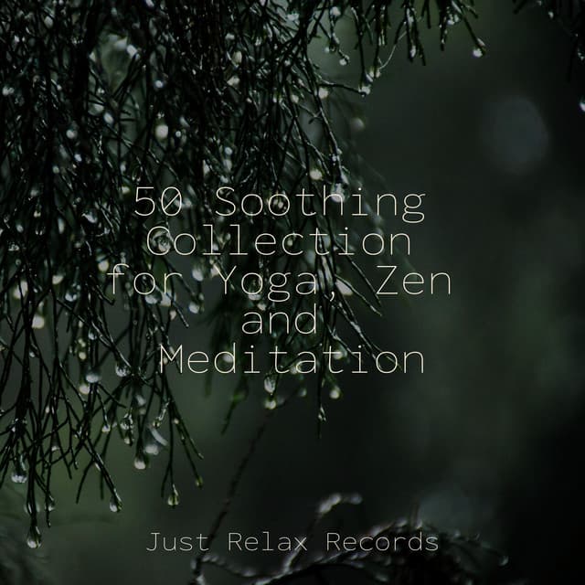 50 Soothing Collection for Yoga, Zen and Meditation - Natural Sounds