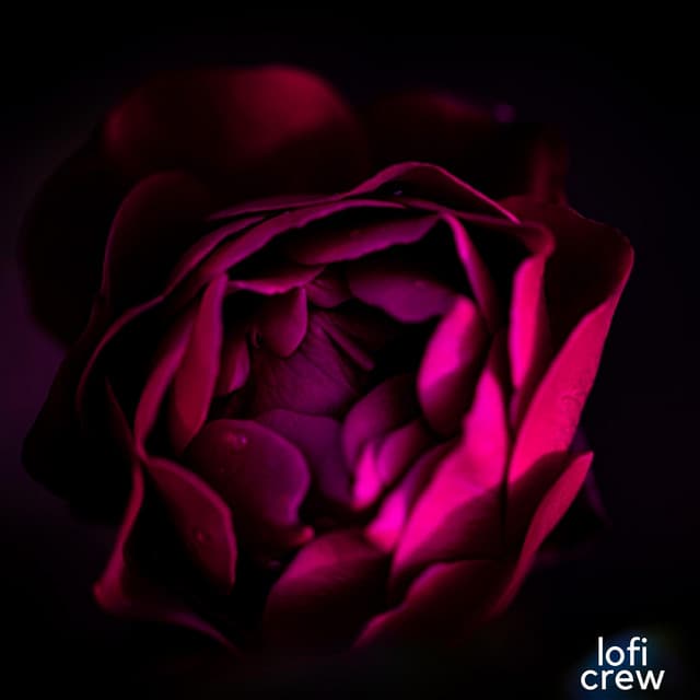 Smooth Soft Lofi Energy - Lofi Chiller