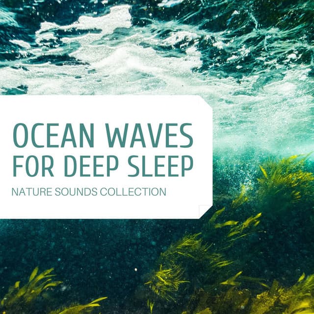 Ocean Waves for Deep Sleep: Nature Sounds Collection - Lucid Dreaming World