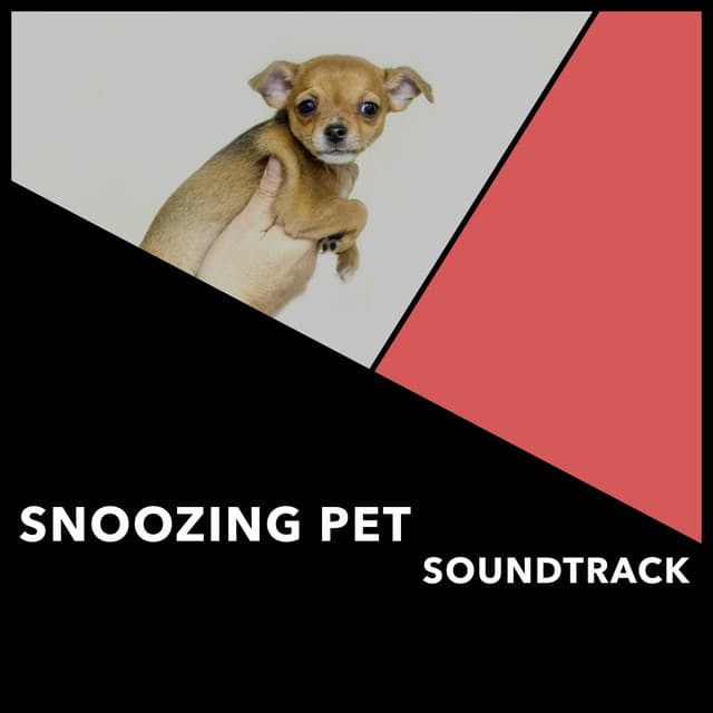 Snoozing Pet Soundtrack - Dogs Music Therapy