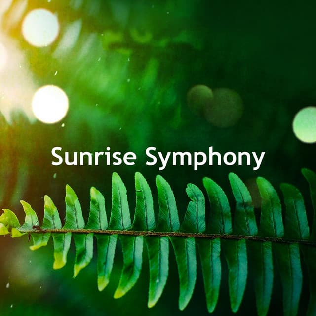 Sunrise Symphony - Sounds of Nature for Deep Sleep and Relaxation