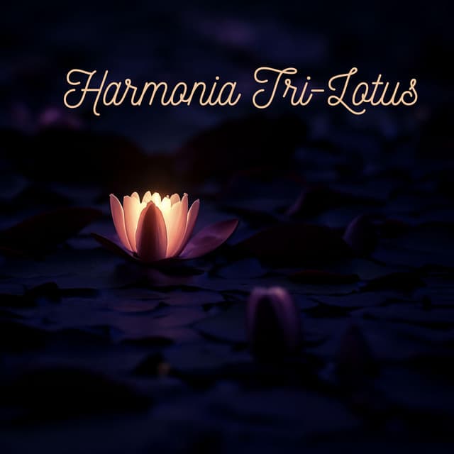 Harmonia Tri-Lotus - Triskelion Lotus
