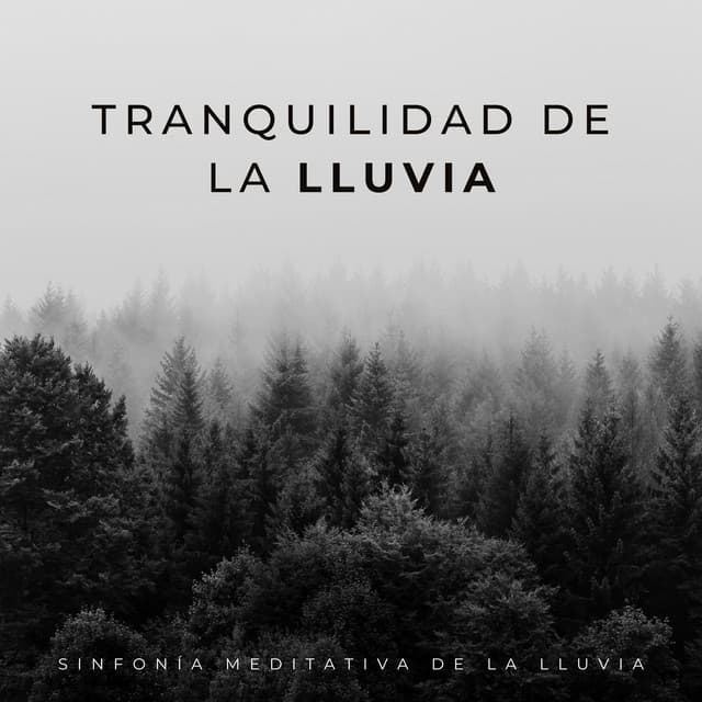 Tranquilidad De La Lluvia: Sinfonía Meditativa De La Lluvia - Relajación Lluvia Meditación