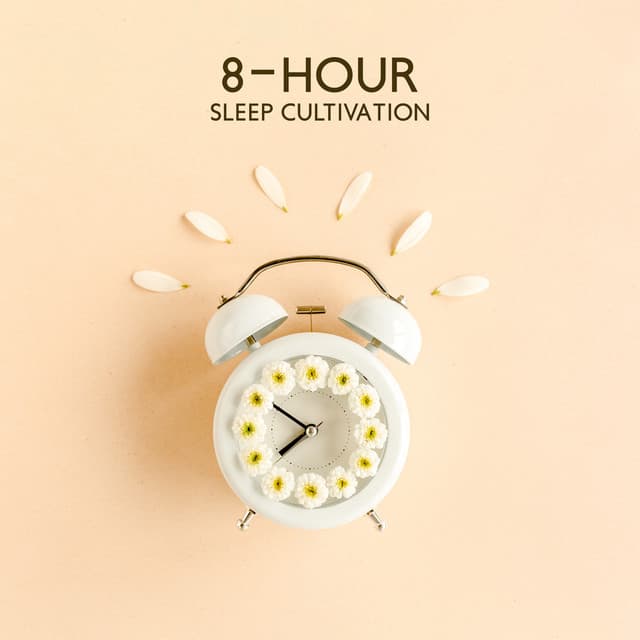 8-Hour Sleep Cultivation: Deep Relaxation while Night, Lass Asleep Fast, Calming Sleep Music, CBT Stress Therapy, Deep Insomnia Cure Music - Deep Dream Oasis