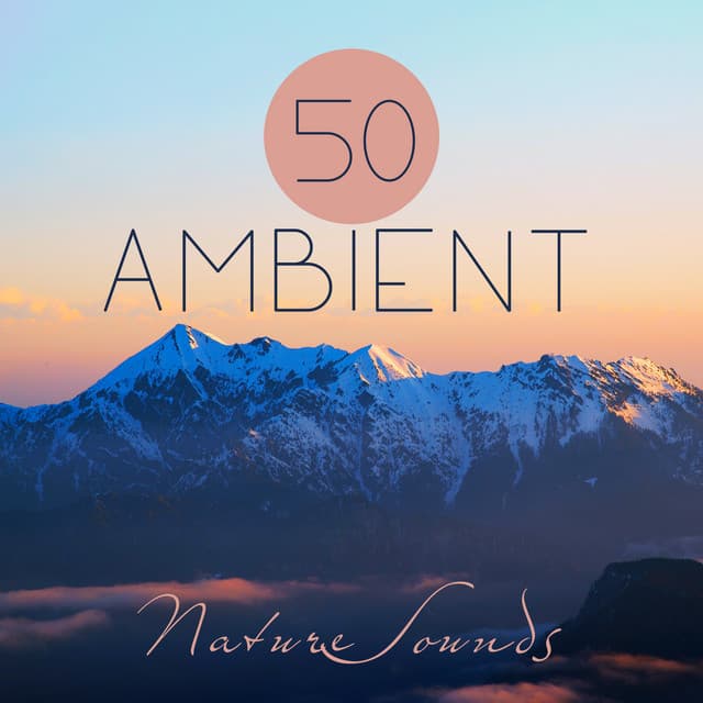 50 Ambient Nature Sounds: Best Relaxing Spa Music, Hypnotic Ocean Waves for Meditation, Calm Sounds of Rain for Sleep, Healing New Age and Singing Birds to Reduce Stress - Abundant Nature Zen