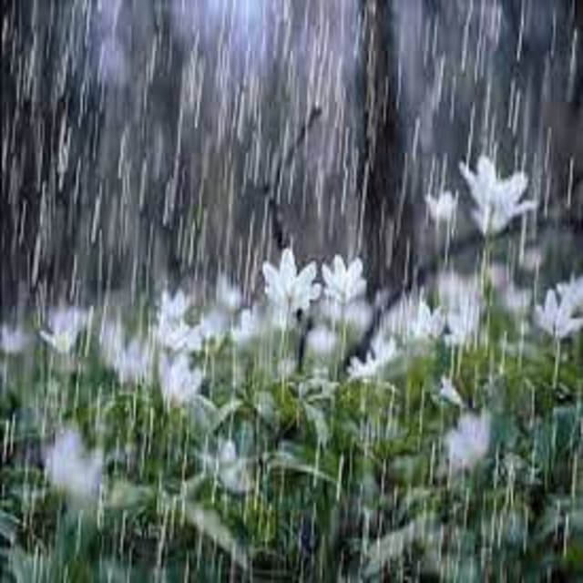 White Noise Background