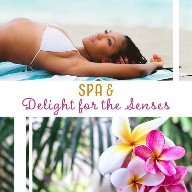 SPA & Delight for the Senses - Soothing Music for Restore Balance, Treatment Ceremonies, Massage, Secrets of Zen - Healing Touch Zone