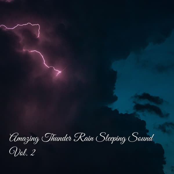 Amazing Thunder Rain Sleeping Sound Vol. 2 - Recorder Rain