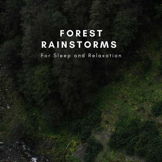 Forest Rainstorms For Sleep And Relaxation - Natural Sounds Selections