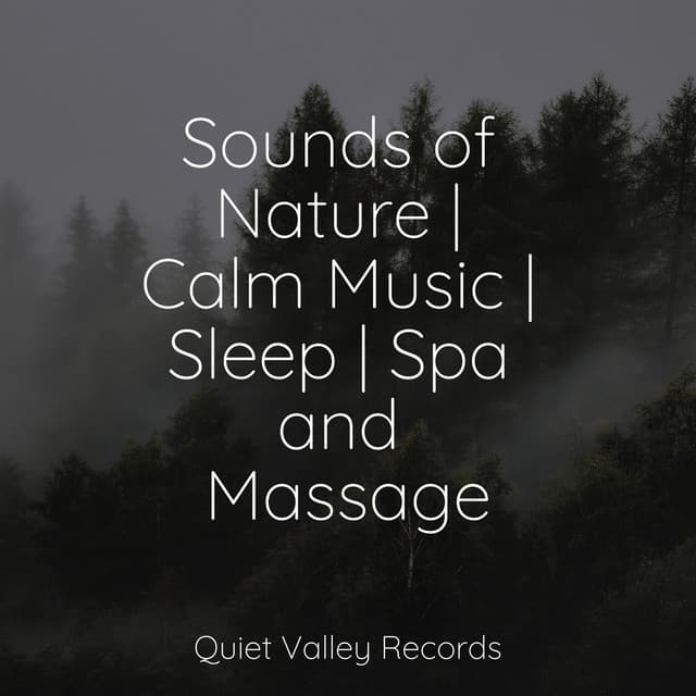 Sounds of Nature | Calm Music | Sleep | Spa and Massage - Rainforest