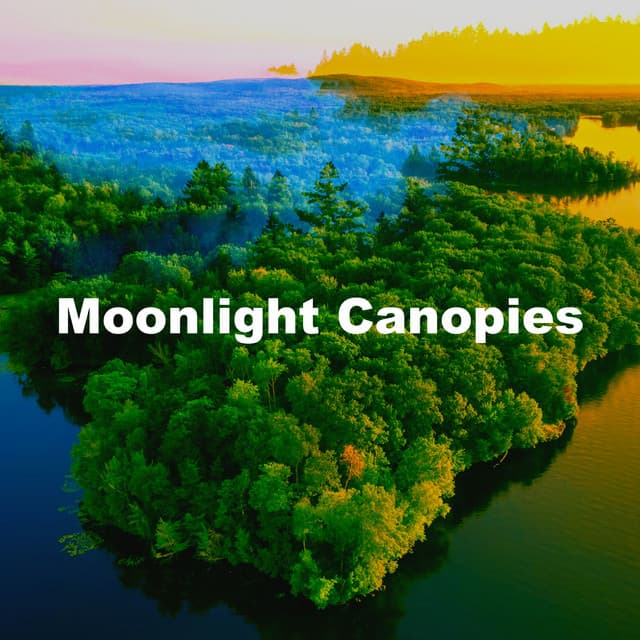 Moonlight Canopies - 8k Sound Library