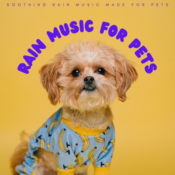 Rain Music For Pets: Soothing Rain Music Made For Pets - Relaxing Dog Music Radio