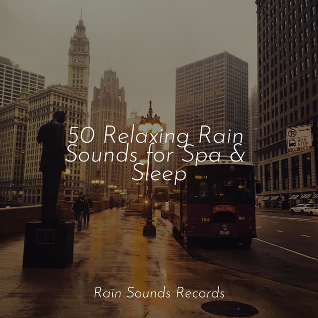 50 Relaxing Rain Sounds for Spa & Sleep - Study Music & Sounds