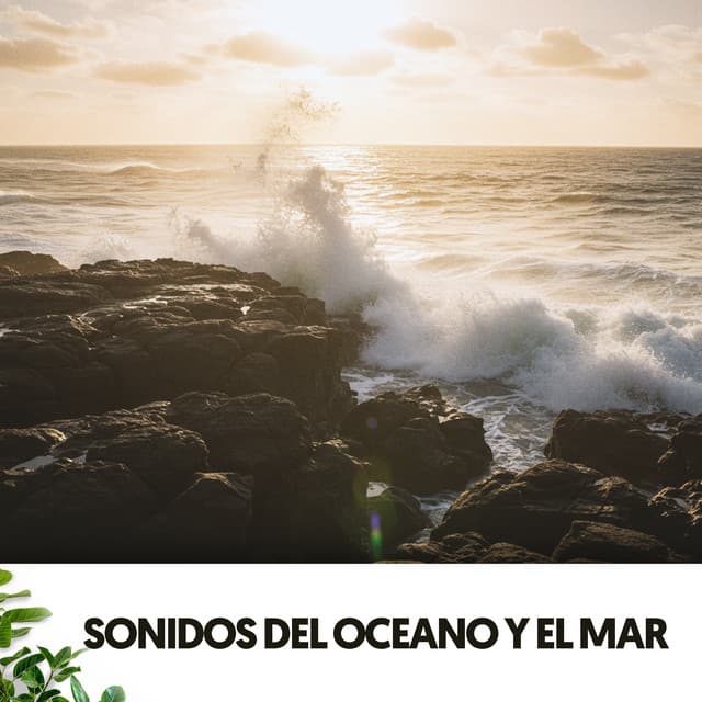 Sonidos del Oceano y el Mar: Pensamientos Profundos - Cat Music Therapy