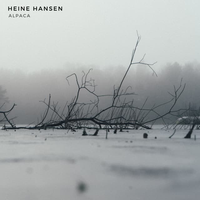 Alpaca - Heine Hansen