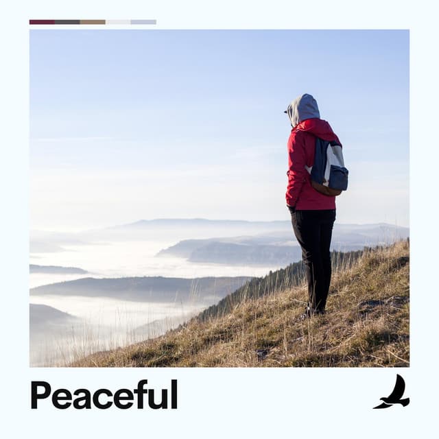 Peaceful - Ambient Music Collective